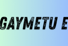 gaymetu e